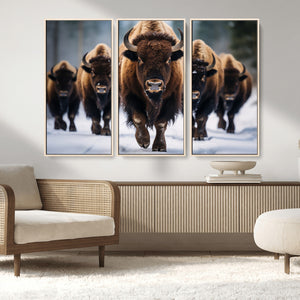 Buffalo Wall Art Canvas Print, American Bison Herd Wall Art