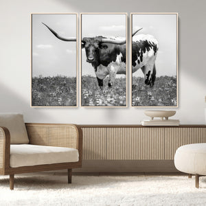 Texas Black White Highland Longhorn Cow Wall Art Canvas