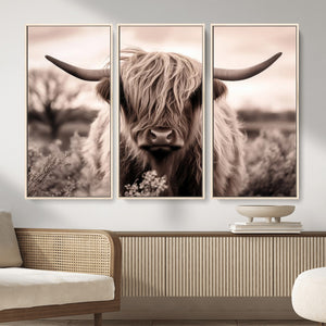 Scottish Cow Longhorn Wall Art Canvas Print