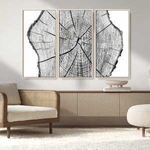 Rustic Tree Ring Wall Art Canvas Print – Framed and Ready to