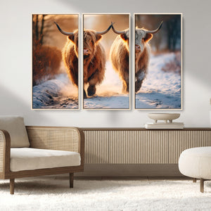 Scottish Highland Cow Horn Farm Wall Art Canvas Print