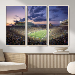 Notre Dame Fighting Irish Football Team Print - Notre Dame