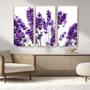 Lavender Flower Wall Art Canvas Print