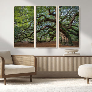 Historic Tree Wall Art – Framed Mossy Branch Canvas Artwork,