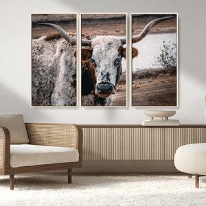 Texas Longhorn Wall Art Canvas Print – Framed Spotted Bull