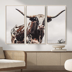 Texas Longhorn Wall Art Canvas Print – Framed Spotted Bull