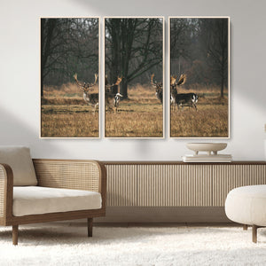 Deer Wall Art Canvas Print – Framed Rustic Wildlife Stags