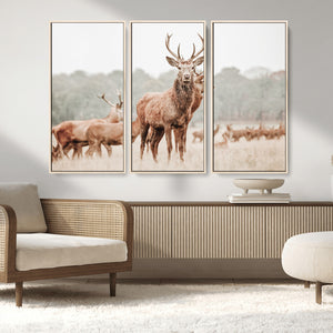 Rustic Nature Wall Art Canvas Print – Stag Woodland Framed