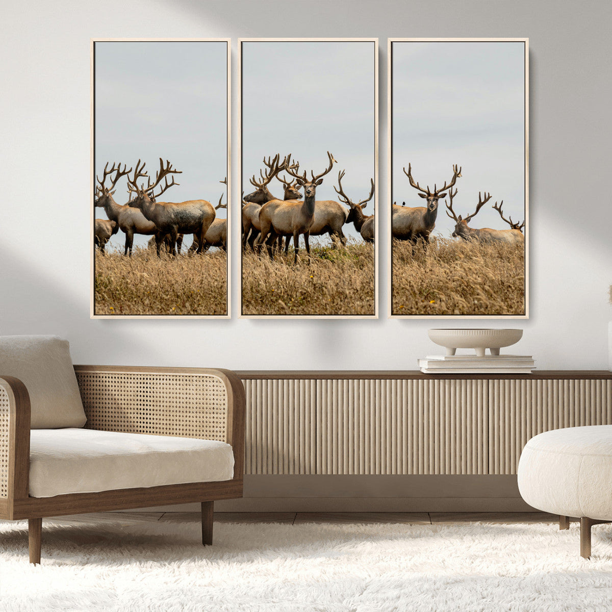 Elk Herd Wall Art Canvas Print – Framed Wildlife Photography