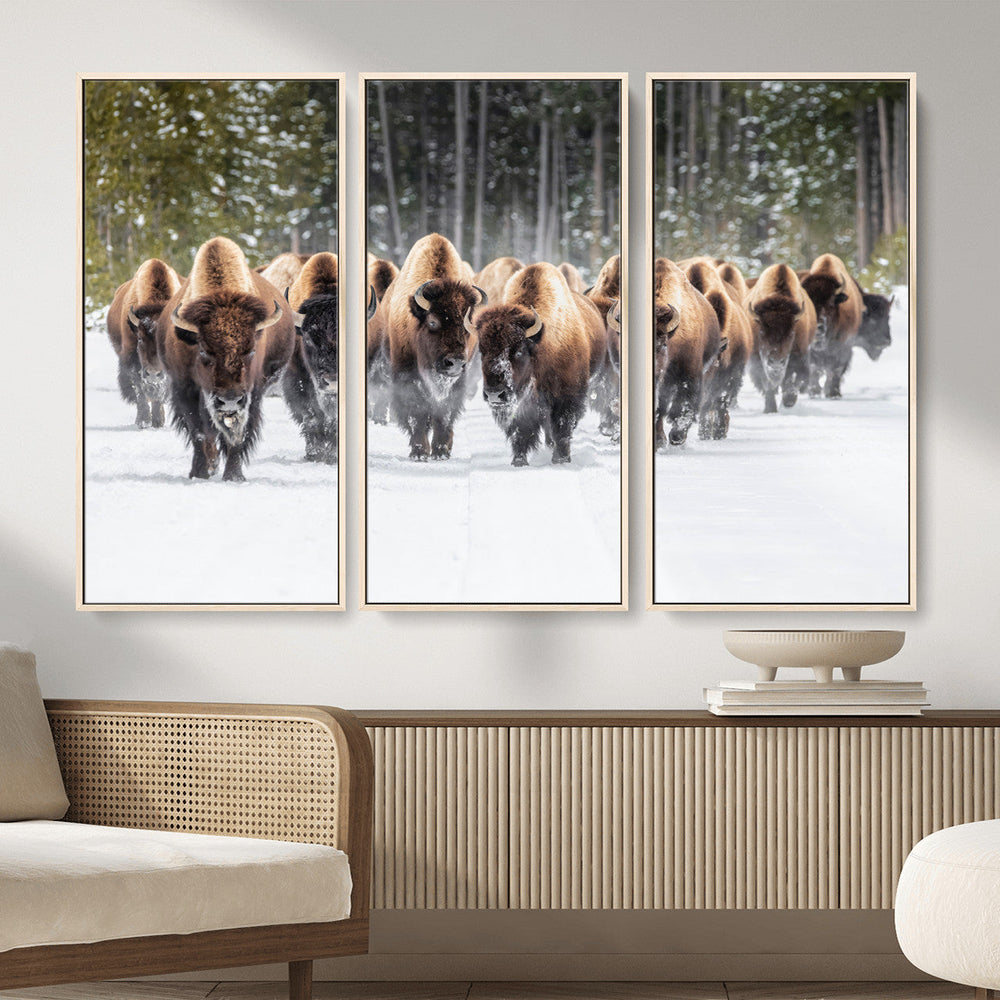 American Bison Herd Wall Art Canvas Print – Powerful Winter