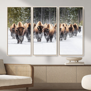 American Bison Herd Wall Art Canvas Print – Powerful Winter