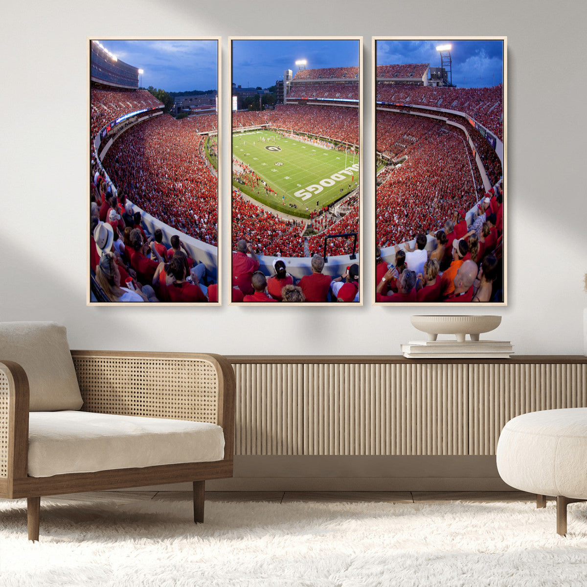 Dooley Stadium Wall Art, Sports Arena Canvas Print, Dooley