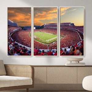 Dooley Stadium Wall Art, Sports Arena Canvas Print, Dooley