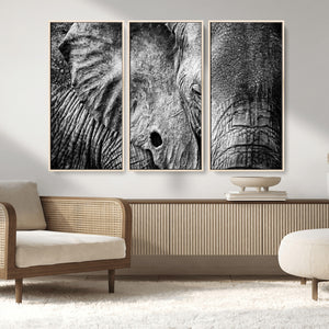 Wild Old Elephant Wall Art Canvas Print
