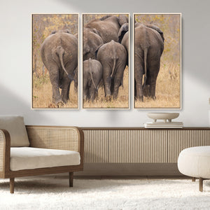 Wild Elephant Wall Art Canvas Print