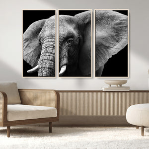 Big Elephant Close Up Wall Art Canvas Print