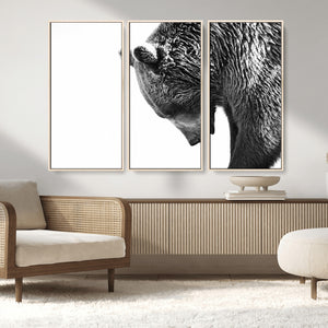 Black and White Grizzly 399 Bear Canvas Print Wall Art |