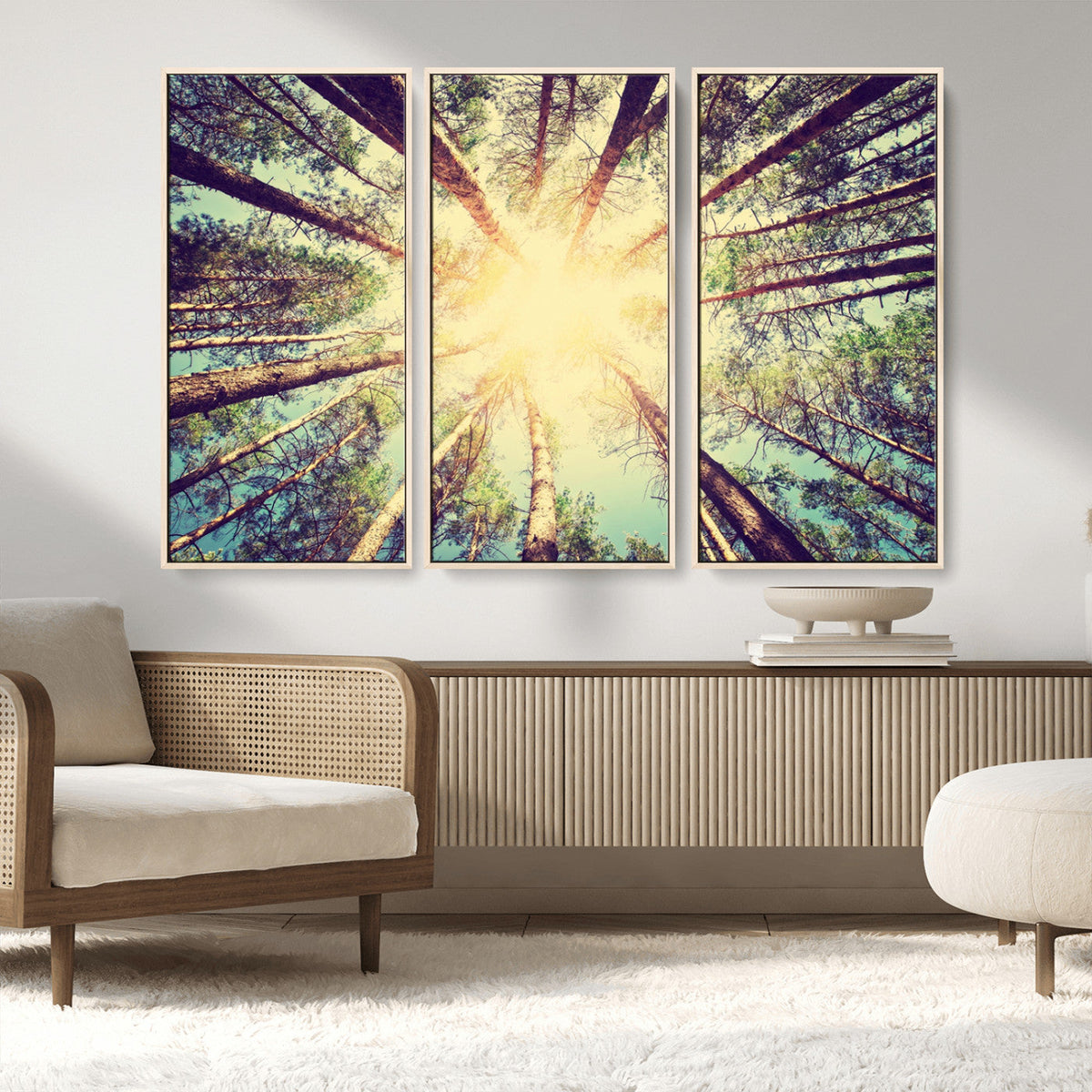 Tree and Sunshine Canvas Print