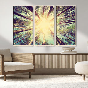 Tree and Sunshine Canvas Print