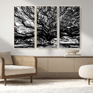 Mighty Angel Oak Wall Art | Angel Oak Tree Art Print