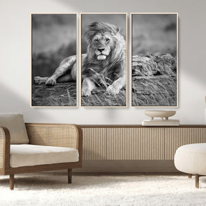 King Forest Lion Wall Art Canvas Print – Framed Majestic