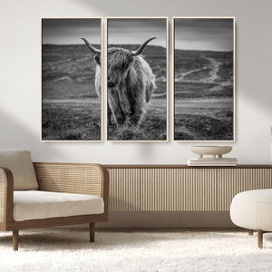 Fluffy Cattle Wall Art Print, Highland Cow Canvas, Framed