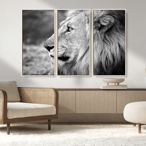 Lion Wall Art Canvas Print – Framed Majestic Wildlife