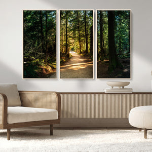 Sunlit Forest Pathway Canvas Print | 3 Panel Large Nature