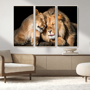 Lion and Lioness Wall Art Canvas Print – Framed African
