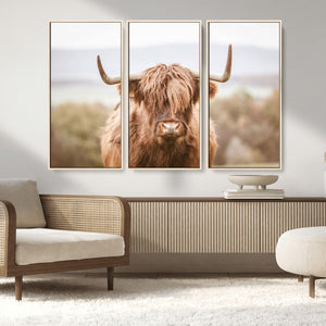 Scottish Serene Highland Cow Canvas Wall Art – Serene