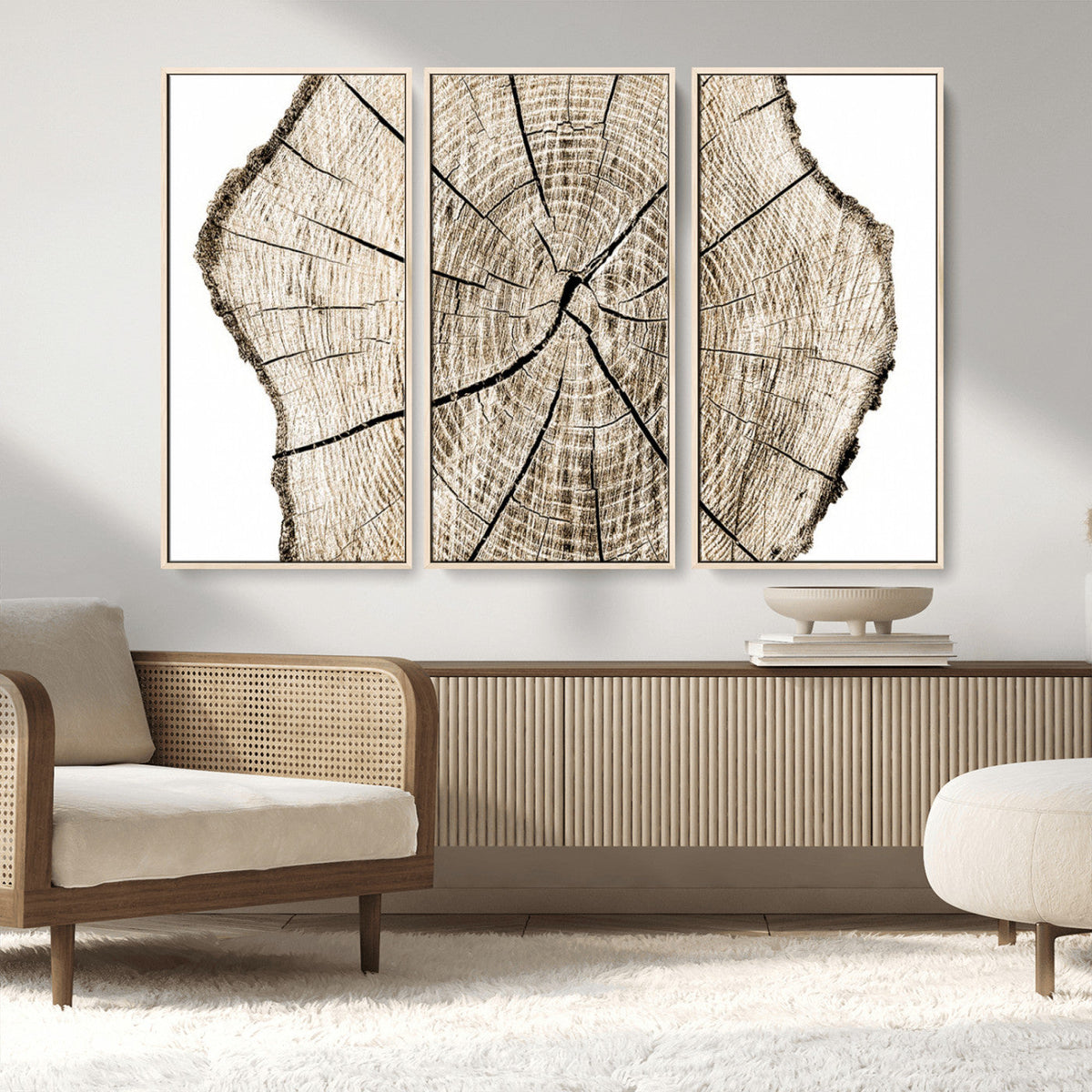 Abstract Wood Tree Ring Wall Art - Ready to Hang Minimalist