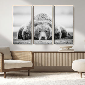Resting Grizzly Bear Wall Art Canvas Print – Majestic Lazy