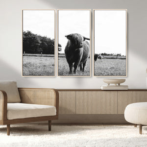 Black and White Highland Cow Wall Art Canvas Print | Rustic