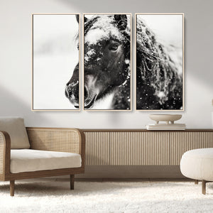 Framed Black and White Horse Wall Art | Ready to Hang and