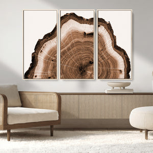 Rustic Wood Rings Wall Art | Nature-Inspired Tree Ring