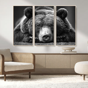 Resting Grizzly 399 Bear Canvas Print | Ready to Hang Wall