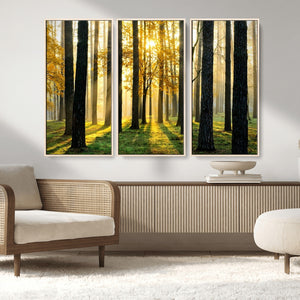 Sunlit Forest Wall Art Canvas Print – Large Framed Woodland