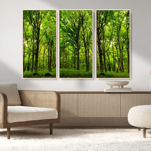 Lush Green Forest Canvas Print | 3-Panel Forest Wall Art |