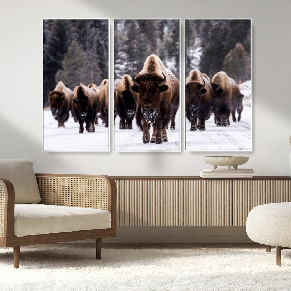 Bison Wall Art Canvas Print- Bison Herd Canvas Wall Art –
