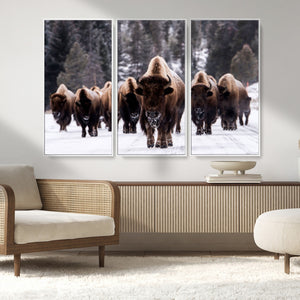 Bison Wall Art Canvas Print- Bison Herd Canvas Wall Art –