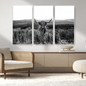 Black and White Highland Cow Canvas Wall Art, Longhorn
