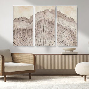 Tree Ring Wall Art Triptych, Rustic Wood Ring Canvas Print,