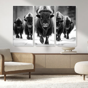 American Bison Art | Buffalo Herd Wall Art Canvas Print, BW