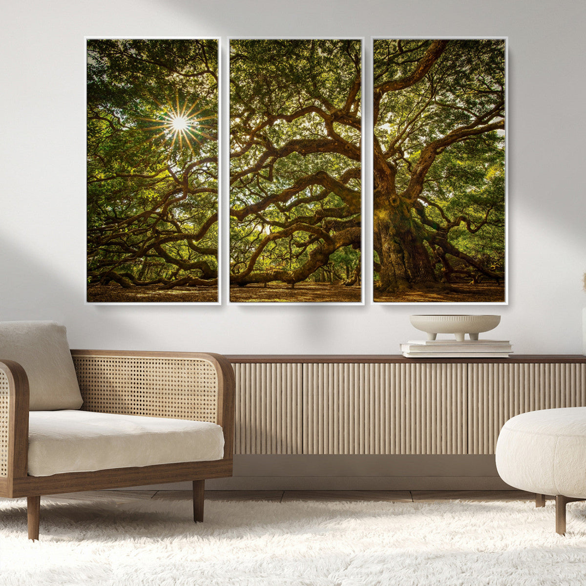 Ancient Angel Oak Tree Art Sunburst Canvas Print-