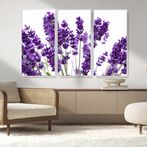 Lavender Flower Wall Art Canvas Print