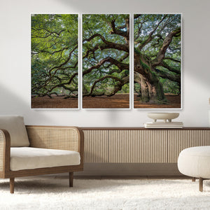 Historic Tree Wall Art – Framed Mossy Branch Canvas Artwork,