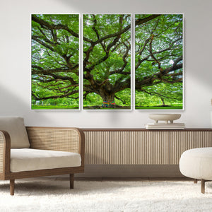Angel Oak Tree Wall Art Canvas Print – Framed Majestic
