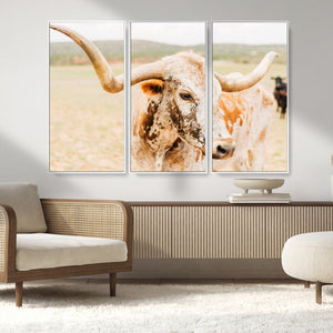 Texas Longhorn Wall Art Canvas Print – Framed Spotted Cow