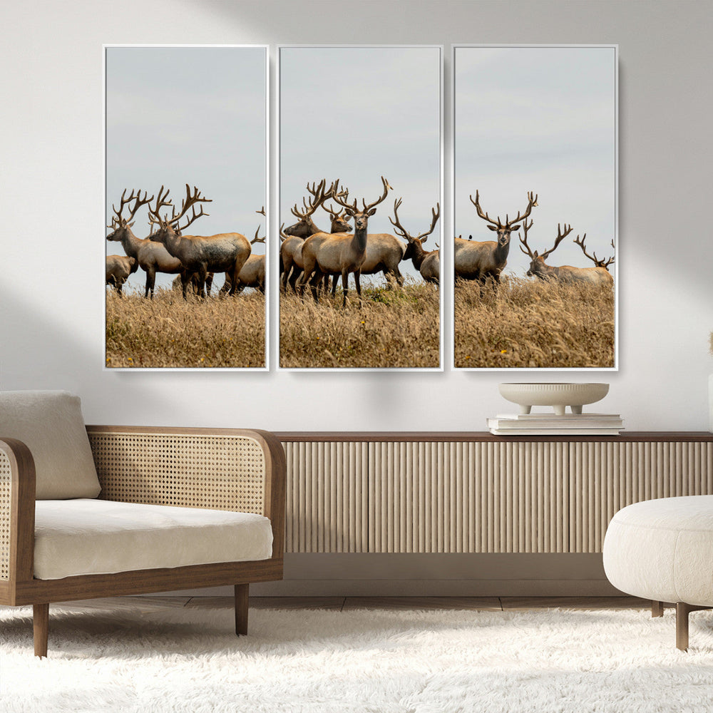 Elk Herd Wall Art Canvas Print – Framed Wildlife Photography