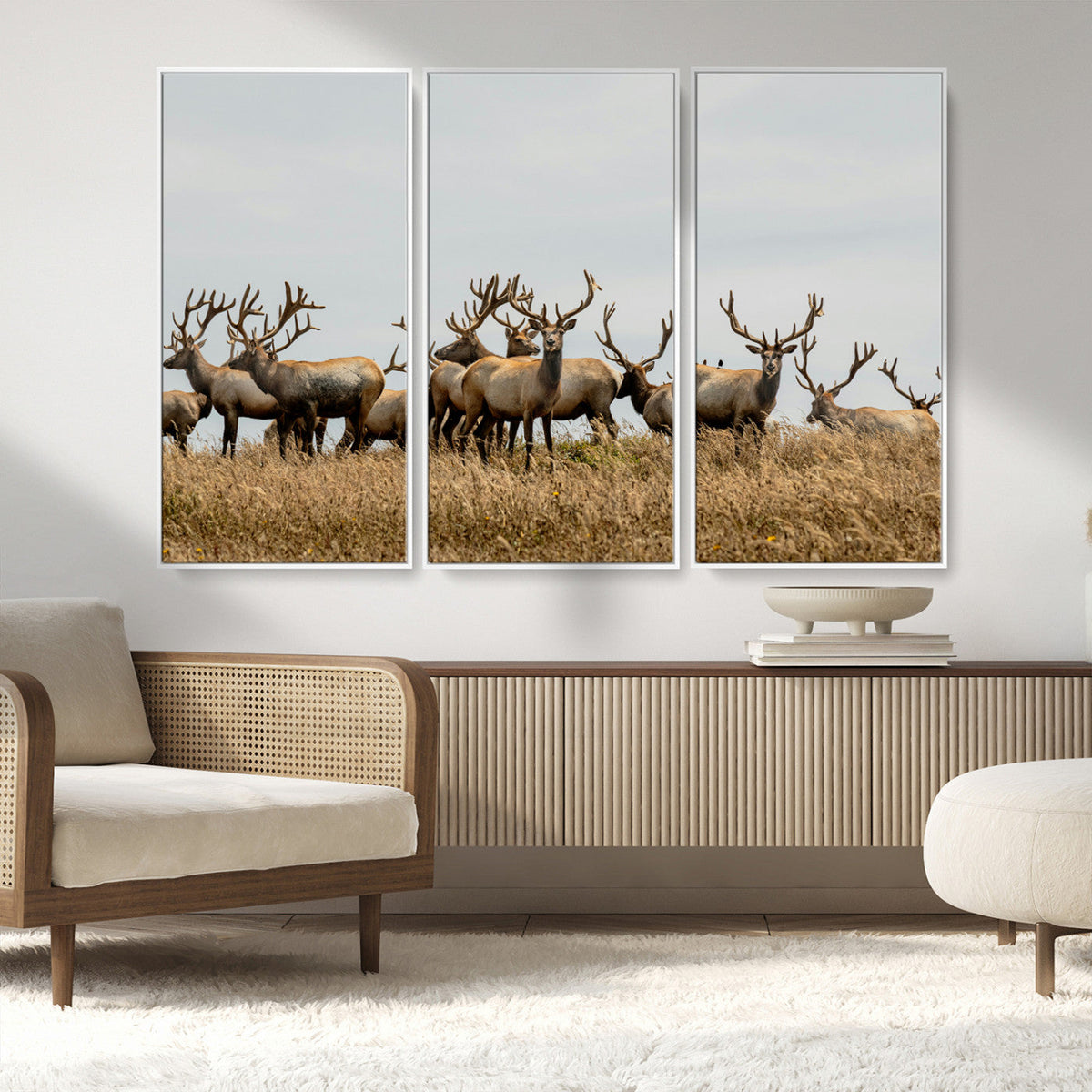 Elk Herd Wall Art Canvas Print – Framed Wildlife Photography